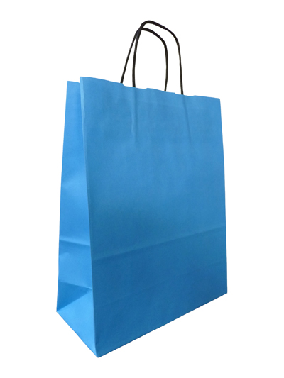 Light Blue Twist Handle Paper Bags