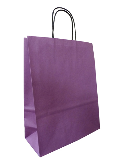 PlumTwist Handle Paper Bags